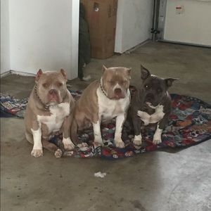 Meet your Posher, Jose